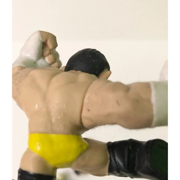 WWE Rumblers Lot of 9 Wrestling Action Figures Scarce Punk Big  Show John Cena - Picture 15 of 16